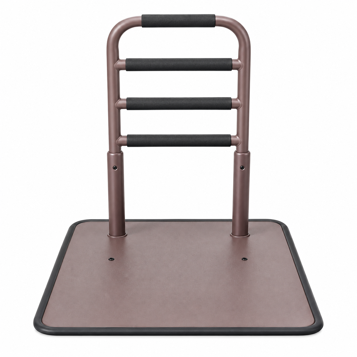 Floor-Standing Assist Rail with Step Platform